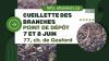 POINT DE DÉPÔT BRANCHES🪵