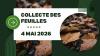 🍂 COLLECTE DES FEUILLES – 4 mai 2026