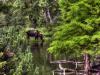 Fermeture des sentiers en période de chasse
