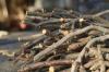 Nouveau : inscription requise pour la collecte des branches
