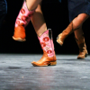 Soirée danse country - 9 novembre 2024