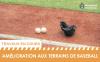 Travaux en cours - Des améliorations aux terrains de baseball