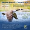Invitation – Visioconférence « Bernaches du Canada 101 » | 8 mai à 19 h