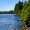 Préservons nos rives, protégeons nos lacs : L'importance de la bande riveraine