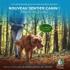 Un endroit de rêve pour les chiens... et leurs humains🐾💚