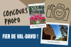 Concours photo – Fier de Val-David
