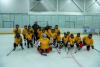 Classique hivernale de la Ligue intermunicipale de hockey