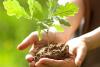 Rappel - Distribution gratuite d'arbres et de compost ce samedi 9 mai