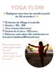 🌟NOUVEAUTÉ : COURS DE YOGA FLOW À LUSKVILLE 🌟